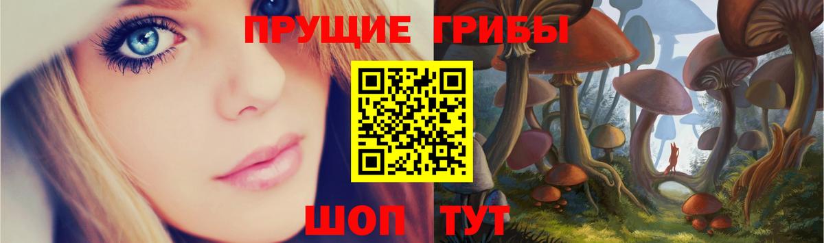 Псилоцибиновые грибы Psilocybine cubensis  Вход с VPN  Зима 